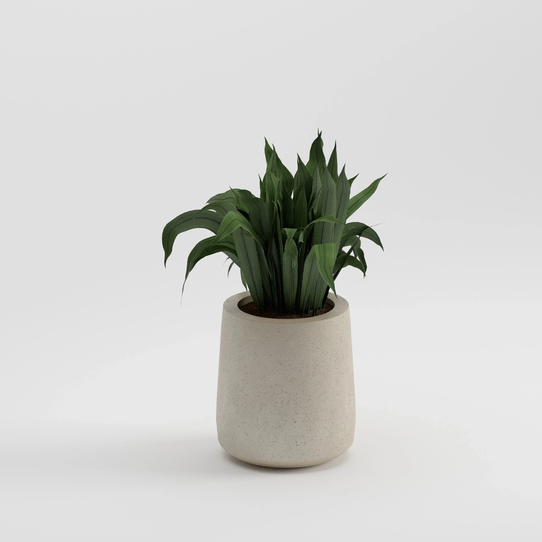 Lotus Regular Saksı