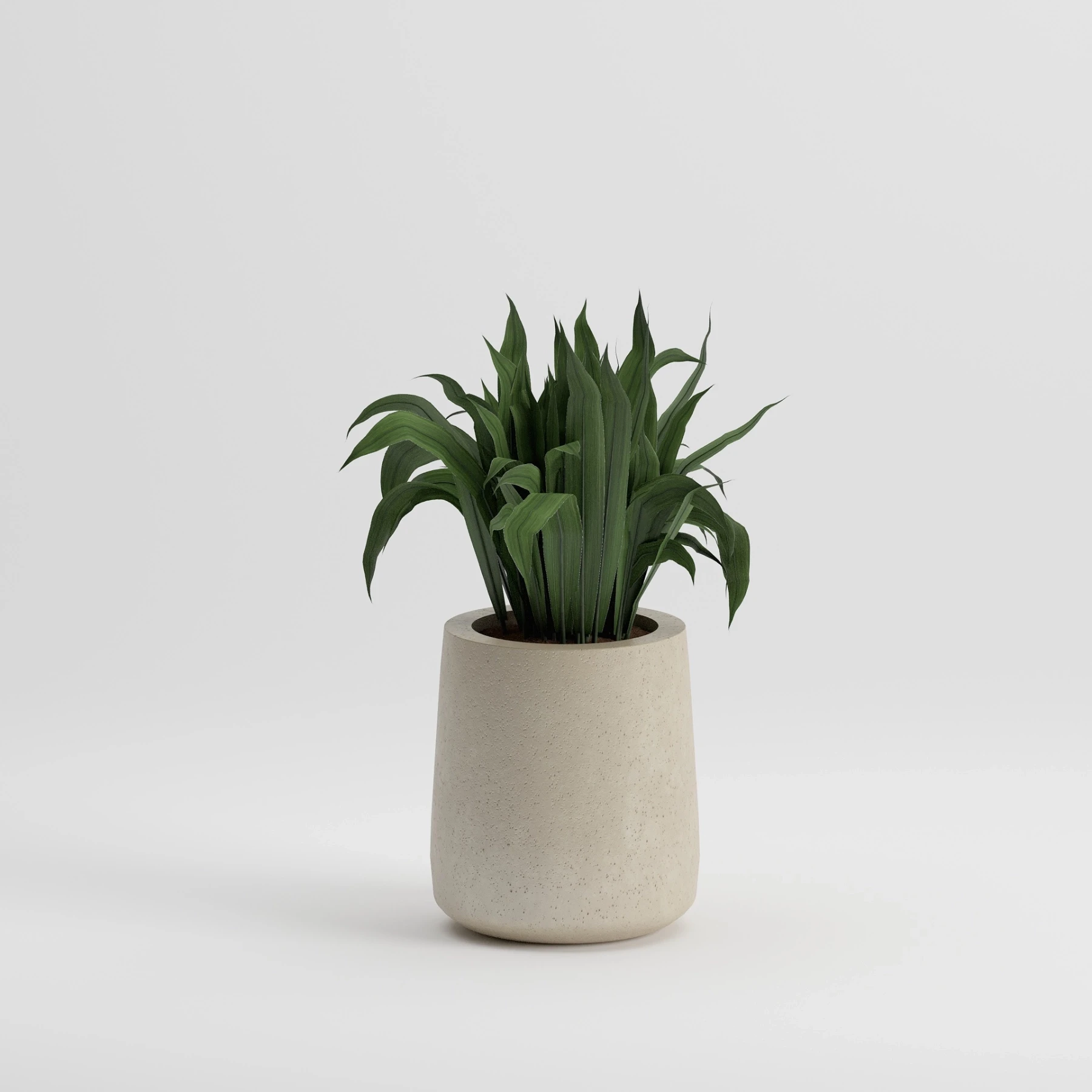 Lotus Regular Saksı