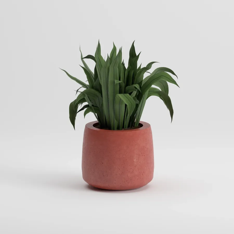 LOTUS Small Saksı | Kiremit