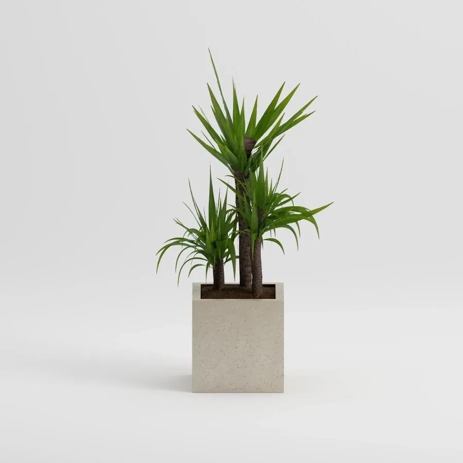 DAIS Flowerpot | Frozen