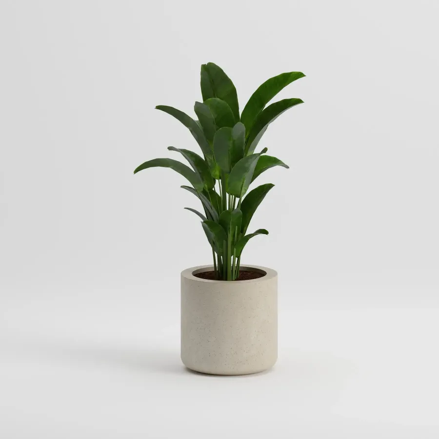 LIL Regular Flowerpot | Frozen