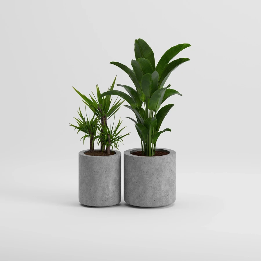 LIL Set Saksı | Gri