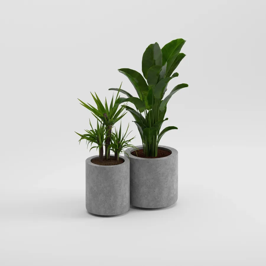 LIL Set Saksı | Gri