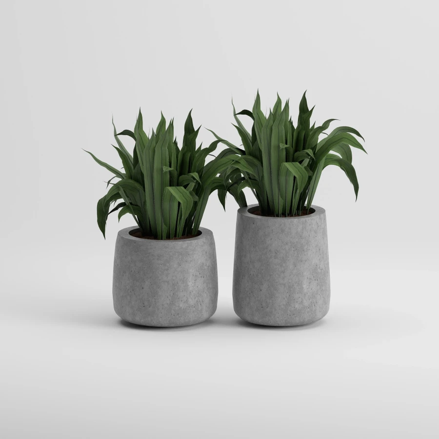 LOTUS Set Saksı | Gri