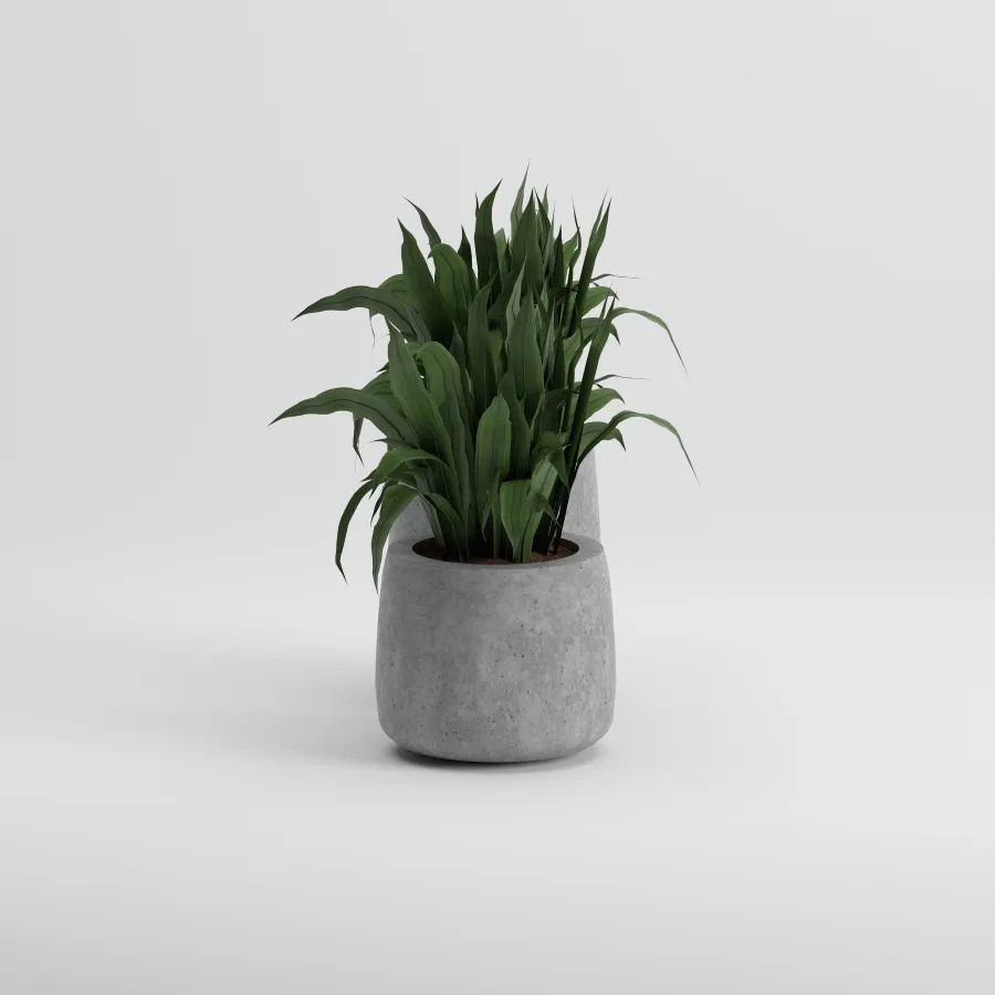 LOTUS Set Saksı | Gri