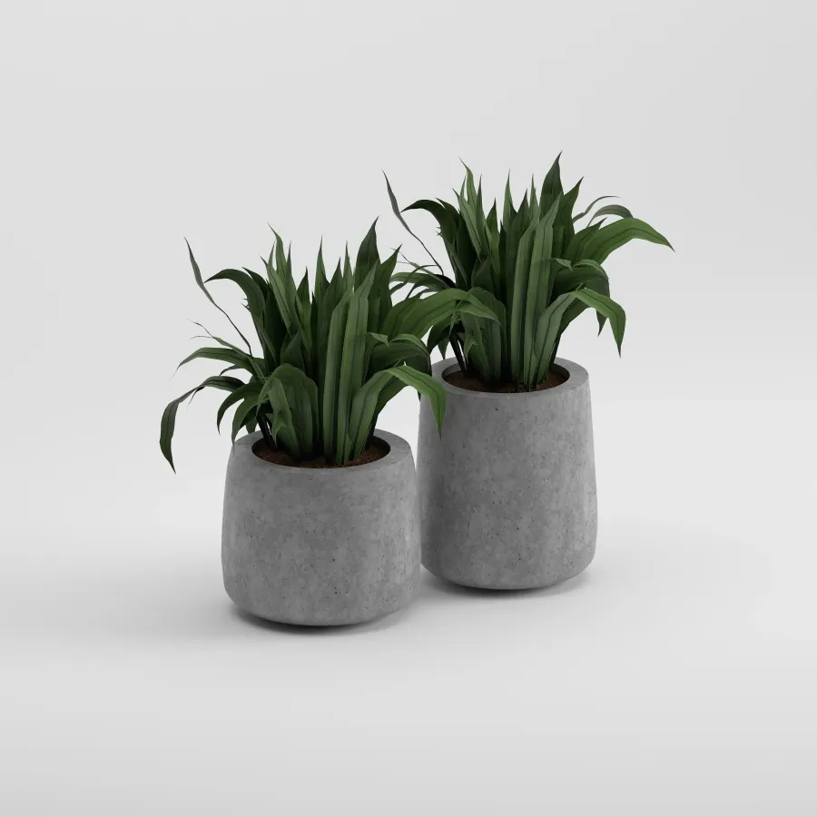 LOTUS Set Saksı | Gri