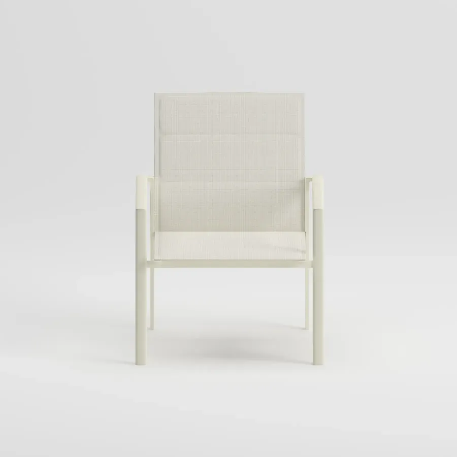 LUNGO Living Chair | Frozen