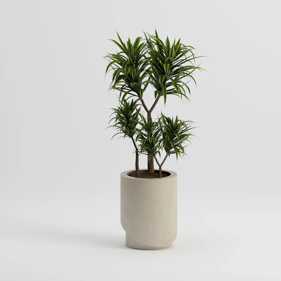 PANS Regular Flowerpot | Frozen