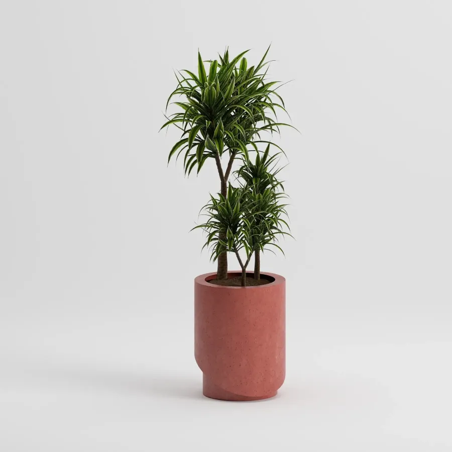 PANS Regular Flowerpot | Terracotta
