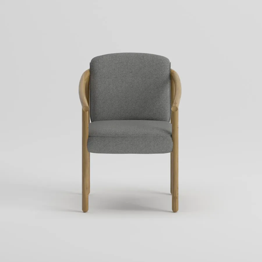 TESS Armchair | Teak