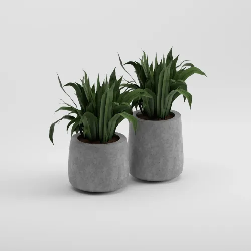 LOTUS SET